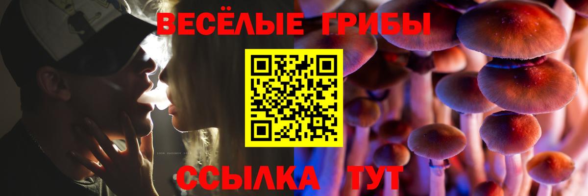 Коломна  Галлюциногенные грибы Psilocybine cubensis  Вход с VPN  Псилоцибиновые грибы мицелий 